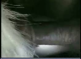 سكس حيوانات ساخن رجل ينيك معزة Porn Animals Man Has Sex With Goat ...