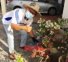 Check spelling or type a new query. Pkp Dilanjutkan Rata Rata Orang Awam Akur Utusan Borneo Online