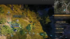 黒い 砂漠 雑草