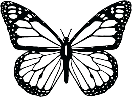 Cool Butterfly Coloring Pages Ideas For Girls And Boys Butterfly Clip Art Butterfly Outline Butterfly Coloring Page