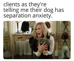 You're in the right place! Pet Groomer Memes Added A New Photo Pet Groomer Memes