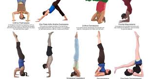 Yoga Chart 6 Inversions Relaxation 978 81 8451 641 8 Rs 100 Kinderkraftz School Furniture India Yoga Chart Yoga Inversions Yoga Poses For Beginners