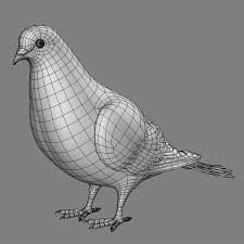 3d Model Of Realistic Pigeon Wings Folded Maya Modeling Pigeon Character Design Animation