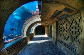 Mini Travel Guide: The Bahamas