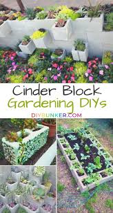 9 Super Easy Cinder Block Gardens To Diy Yourself Cinder Block Garden Easy Garden Garden Ideas Diy Cheap