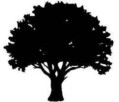 Black And White Silhouette Black And White Tree Clipart Free Download Oak Tree Outline Clipart For Your Creation Oak Tree Tattoo Oak Tree Drawings Oak Tree Silhouette