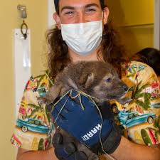 Millbrook School's Trevor...