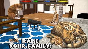 So can be harmful to your phone. Download Ultimate Cat Simulator 1 2 Apk Mod Many Experience For Android