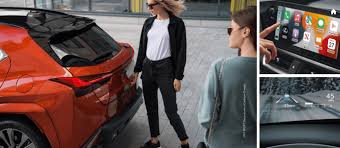 Image result for Cadmium Orange 2023 UX