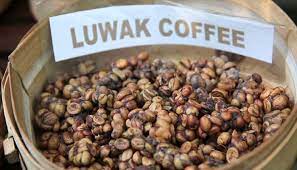 Harga grosir kopi lelet pandawa di semarang,kopi lelet,lasem,rembang,pati,kudus,jogja,bandung,bogor,jakarta,surabaya,gresik,malang,tulungagung,kediri,bali kopi lelet pandawa adalah salah satu produk kopi lelet khas lasem dengan rasa. Kopi Luwak Halal Atau Haram Islampos