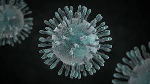 Resultado de imagen de coronavirus