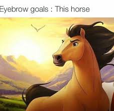 I Love Spirit S Eyebrows Spirit The Horse Funny Memes Funny Relatable Memes