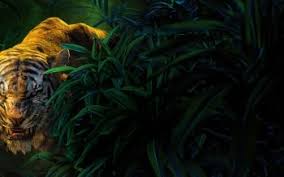 The jungle book jungle book hindi jungle book 2016 jungle book snake book wallpaper disney wallpaper wallpaper jungle iphone the jungle book 2016 movie wallpapers hd with mowgli, baloo, kaa, shere khan, king louie, raksha, bagheera, akela, rama and more characters! 4 The Jungle Book 2016 Hd Wallpapers Background Images Wallpaper Abyss