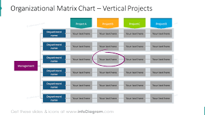 16 Creative Organization Structure Charts Powerpoint Diagrams