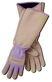Adjustable fastener and breathable spandex back. The 5 Best Gardening Gloves Women S And Men S Garden Gloves