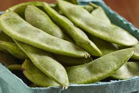 Sow them with the eye of the bean facing downward into the soil. Henderson Bush Lima Butter Bean Premium Garden Seeds Hoss Tools