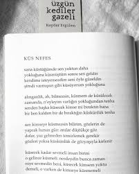 53 Begenme 0 Yorum Instagram Da Turkce Ogretmenligi 2 4 Seyesligunler Kus Nefes Haydar Ergulen Haydarergulen Uzgunk Edebiyat Kitap Guzel Soz