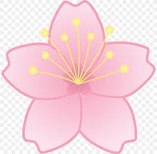 Feel free to explore, study and enjoy paintings with paintingvalley.com Cherry Blossom Flower Clip Art Png 805x800px Cherry Blossom Blossom Cartoon Cherry Drawing Download Free