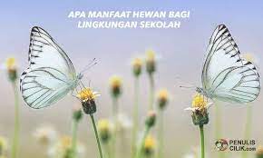 Apa Manfaat Hewan Bagi Lingkungan Sekolah Penulis Cilik Hewan Binatang Sekolah
