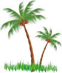 Pngtree offers beach coconut trees png and vector images, as well as transparant background beach coconut trees clipart images and psd files. Beach Coconut Tree Vector Pnglib Free Png Library
