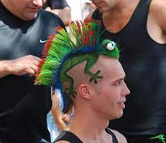 Gecko Haircut Coiffures Incroyables Coupe De Cheveux Original Coiffures Droles