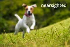 Image result