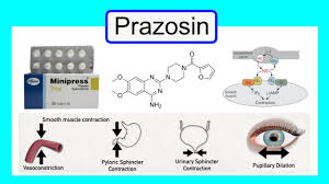 Image result for Prazosin