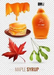 Vermont Maple Syrup Set Maple Syrup Syrup Vermont