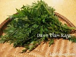 Ulam raja tumbuhan, daunnya dibuat lalap; Pin On Ulam Herbs