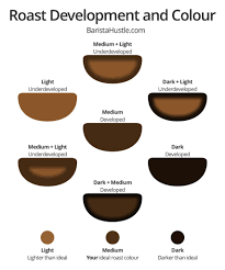 Roast Development And Colour Barista Hustle Coffee Roasting Coffee Beans Gourmet Coffee Beans