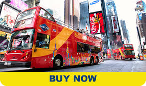 Find the perfect single decker bus stock photo. Double Decker Bus Comparison