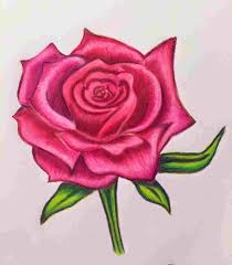 Rose Drawing In Color At Paintingvalley Com Explore Collection Of Rose Drawing In Color Vintage calligraphic wedding invitation vector.