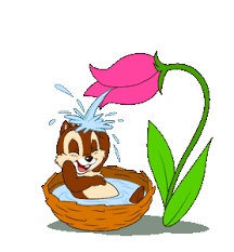 Https Encrypted Tbn0 Gstatic Com Images Q Tbn And9gcsoehkrdkqot2jzcwd54zkvpkwkebljbmoera Usqp Cau