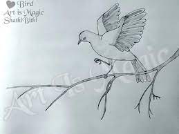 It can be performed in various techniques. Simple Pencil Art Photos Facebook