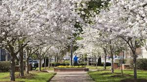 Tripadvisor has 277,316 reviews of georgia hotels, attractions, and restaurants making it your best georgia resource. Usa Reisen Georgia Startet Neue Deutschsprachige Website