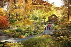 The 16 Most Beautiful Gardens To Visit This Fall Beautiful Gardens Most Beautiful Gardens Public Garden