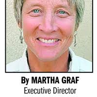 Graf leaving Kids Voting post for suicide foundation