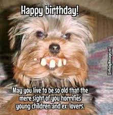 Happy Birthday Quotes For Your Best Friend Funny 50 Funny Happy Birthday Quotes Wishes For Best Friends Funny Happy Birthday Wishes Birthday Wishes Funny Funny Happy Birthday Pictures