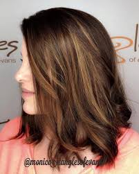 There are also a lot of many different options for highlights, some dark as well as some light ones. 40 Best Ways To Get Dark Brown Hair With Highlights