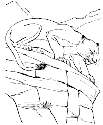 Free printable mountain lion coloring pages available in high quality image and pdf format. Cougar Coloring Page Animals Town Animals Color Sheet Cougar Free Printable Coloring Pages Animals