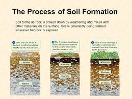 Maybe you would like to learn more about one of these? How Soil Forms 6 E 2 3 Explain How The Formation Of Soil Is Related To The Parent Rock Type And The Environment In Which It Ppt Video Online Download