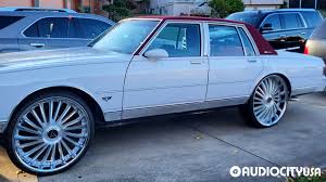 Image result for Gris Beige 1988 ARO