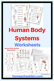 Human Body Worksheets And Notebook Pages Including Systems Matching Pages Notebook Pages About How Body Systems Worksheets Human Body Unit Study Body Systems