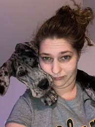 Great Dane puppies pictures and experiences