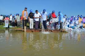 Box sebagai wadah rangkaian setrum tersebut. Sungai Besut Lubuk Ikan Bernilai Tinggi
