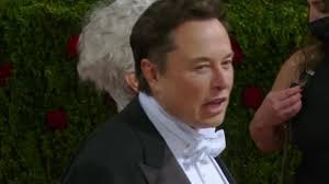 Elon Musk talks Twitter at the Met Gala