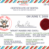 Honorary elf certificate / www kidsbelieveletters com honorary elf certificate with letter from santa santa letter personalized letters. 1