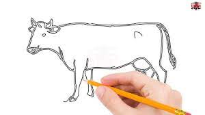 Drawing a horse's head 4. How To Draw A Cow Step By Step Easy For Beginners Simple Cows Drawing Tutorial Youtube