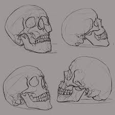 Skull Sketches 1 By Ksenolog On Deviantart Sketches Skull Drawing Sketches Skull Sketch