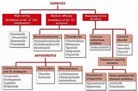 Diuretics Pharmacology Nursing Medical Videos Pharmacology